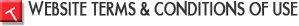 Website Terms and Conditions of Use